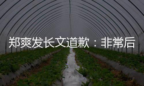 后悔难按郑爽 克款文道歉缴税发长非常服困时补